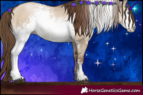Horse Color:White Spotted Brown Pearl Dun
