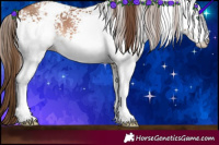 Horse Color:White Spotted Brown Pearl 