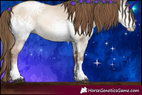 Horse Color:White Spotted Liver Red Dun Pearl Sabino