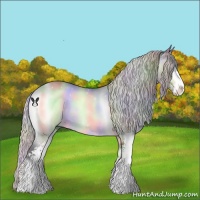 Horse Color:Nacre Silver Brown Chinchilla Onyx Sabino 