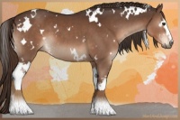 Horse Color:White Spotted Liver Chestnut 