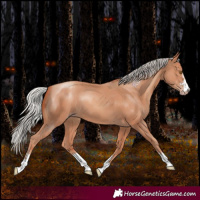 Horse Color:Silver Classic Champagne 