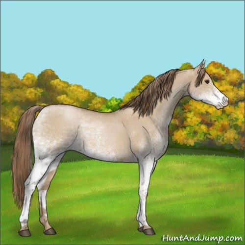 Horse Color:White Spotted Grullo Pearl 