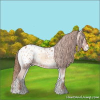 Horse Color:Red Onyx Appaloosa Rabicano 