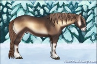 Horse Color:Liver Red Onyx Rabicano