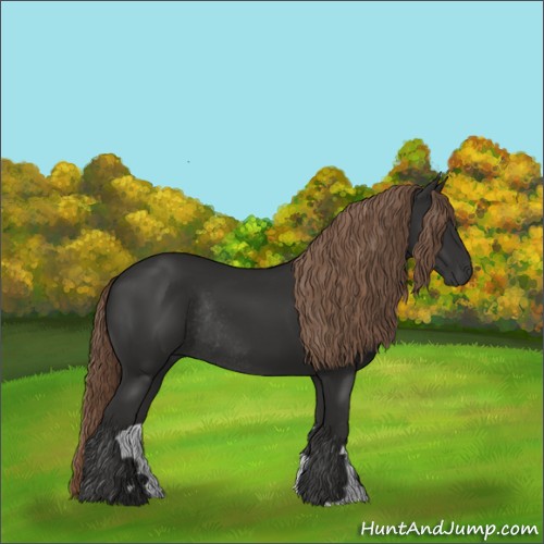 Horse Color:Liver Chestnut Rabicano 