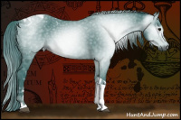 Horse Color:Gray Watercolor Black Tobiano