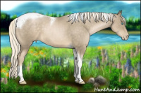 Horse Color:Chocolate Palomino Pearl Mushroom Tobiano 