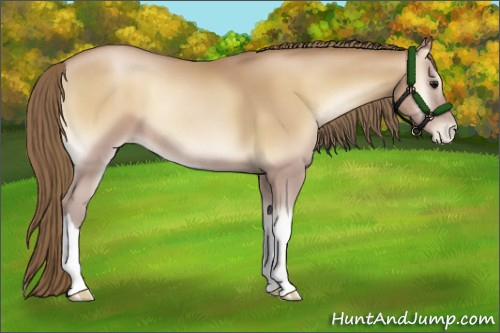 Horse Color:Blue Onyx Pearl 
