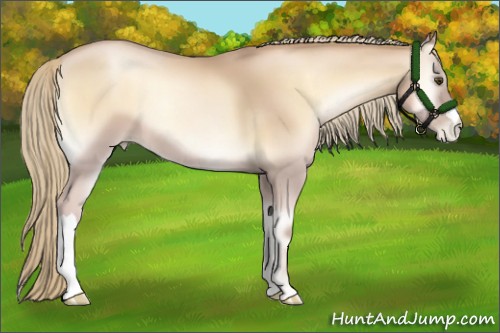 Horse Color:Red Onyx Pearl Mushroom 
