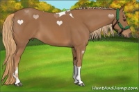 Horse Color:Chestnut Tobiano 