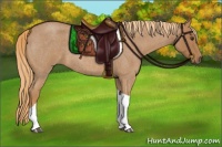 Horse Color:Red Roan Tobiano 