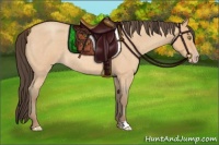 Horse Color:Amber Champagne Roan 