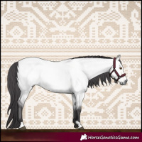 Horse Color:Platinum Buckskin Roan Dun 