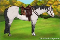 Horse Color:Platinum Bay Roan Dun