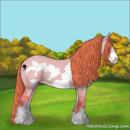 Horse Color:Watercolor Liver Red Dun Frame 