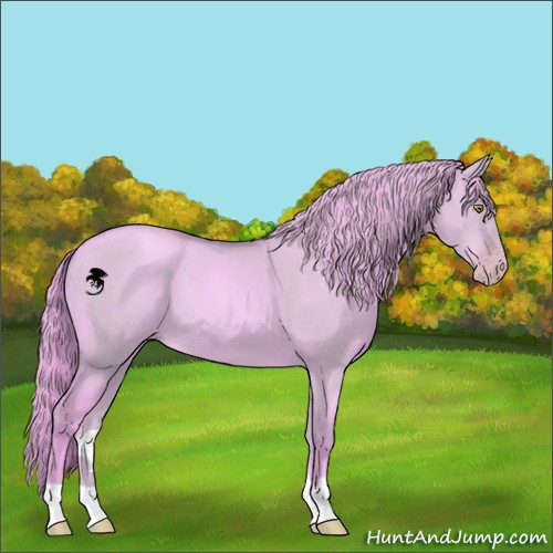 Horse Color:Watercolor Gold Champagne Dun 