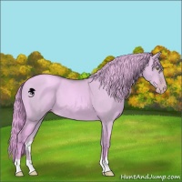 Horse Color:Watercolor Gold Champagne Dun 