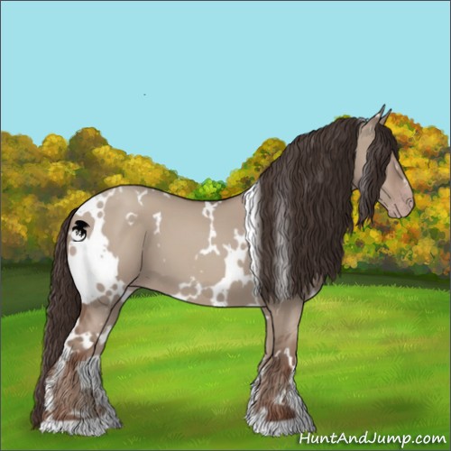 Horse Color:White Spotted Classic Champagne Dun 