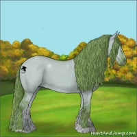 Horse Color:Watercolor Liver Red Dun 