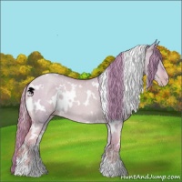 Horse Color:Watercolor White Spotted Gold Champagne Dun 