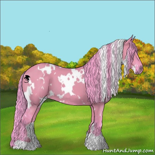 Horse Color:Watercolor White Spotted Grullo 