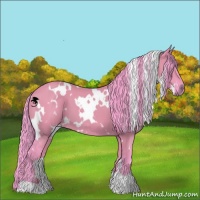Horse Color:Watercolor White Spotted Grullo 