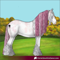 Horse Color:Watercolor White Spotted Gold Champagne Dun Sabino 