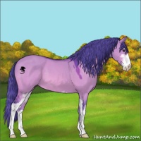 Horse Color:Watercolor Brown Dun Sabino 