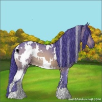 Horse Color:Watercolor White Spotted Brown 