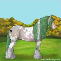 Horse Color:Watercolor White Spotted Chocolate Amber Champagne 
