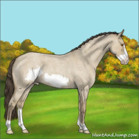 Horse Color:Classic Cream Champagne Roan Dun Frame 