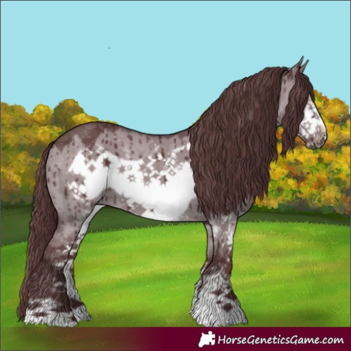 Horse Color:Chocolate Grullo Chinchilla Sabino Frame Brindle