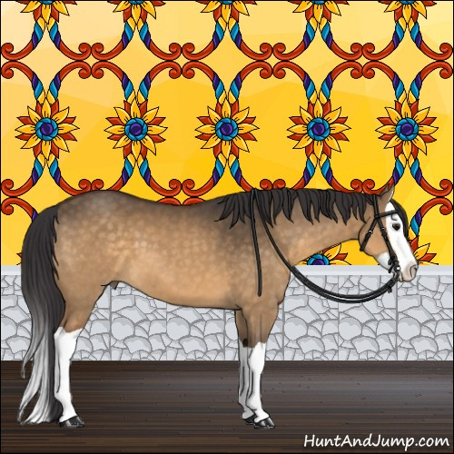 Horse Color:Buckskin Dun Splash 