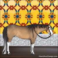 Horse Color:Buckskin Dun Splash
