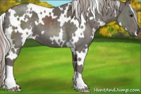Horse Color:White Spotted Silver Black 