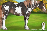 Horse Color:White Spotted Liver Chestnut 