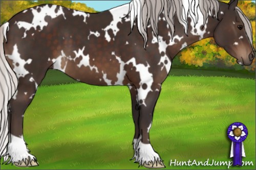 Horse Color:White Spotted Silver Brown 