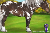 Horse Color:White Spotted Silver Brown