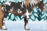 Horse Color:White Spotted Liver Chestnut Sabino 