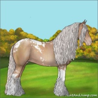 Horse Color:Silver Classic Champagne Tobiano Rabicano