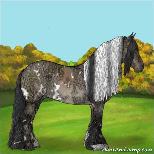Horse Color:White Spotted Brown Ice Dun Rabicano 