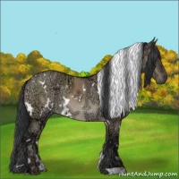 Horse Color:White Spotted Brown Ice Dun Rabicano 