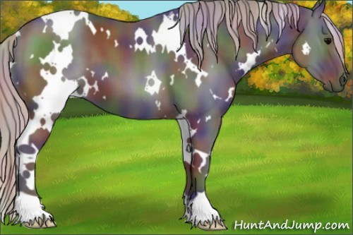 Horse Color:Nacre White Spotted Silver Black 