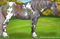 Horse Color:Nacre White Spotted Silver Black 
