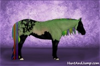 Horse Color:Void Painted Watercolor Bay Roan Splash Appaloosa 