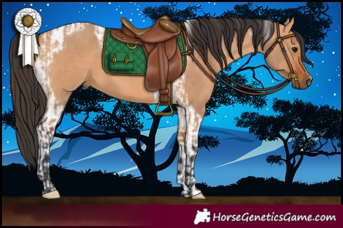 Horse Color:Bay Dun and Bay Dun Tobiano
