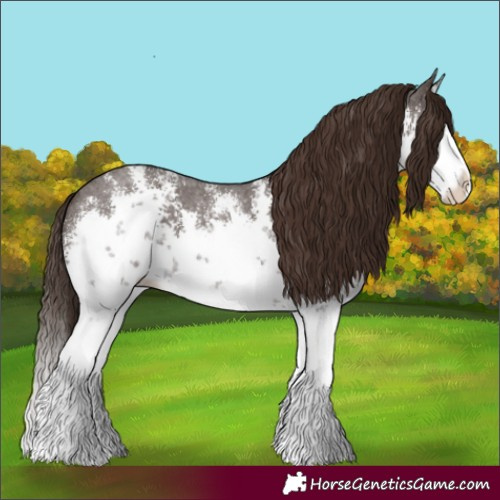 Horse Color:White Spotted Liver Chestnut Sabino Splash 