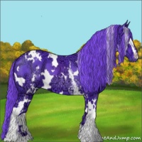 Horse Color:Watercolor White Spotted Liver Chestnut Ice 