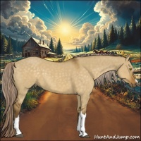 Horse Color:Chocolate Palomino Dun
